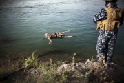 MOSUL, IRAQ- JULY, 2017: The Tigris is full with dead bodies of presumed ISIS fightres killed by the Iraqi Army. In a couple of hours we saw around 10 floating bodies. Some of the bodies seem to be of women.5Picture by Veronique de Viguerie/Reportage by Getty Images)