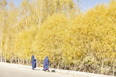 AUTUMN BURQAS