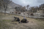 Nangahar, Afghanistan-Dec, 2019: Commadant Tareq is leading a prayer with a couple of his fighters. (Picture by Veronique de Viguerie/Getty Reportage)