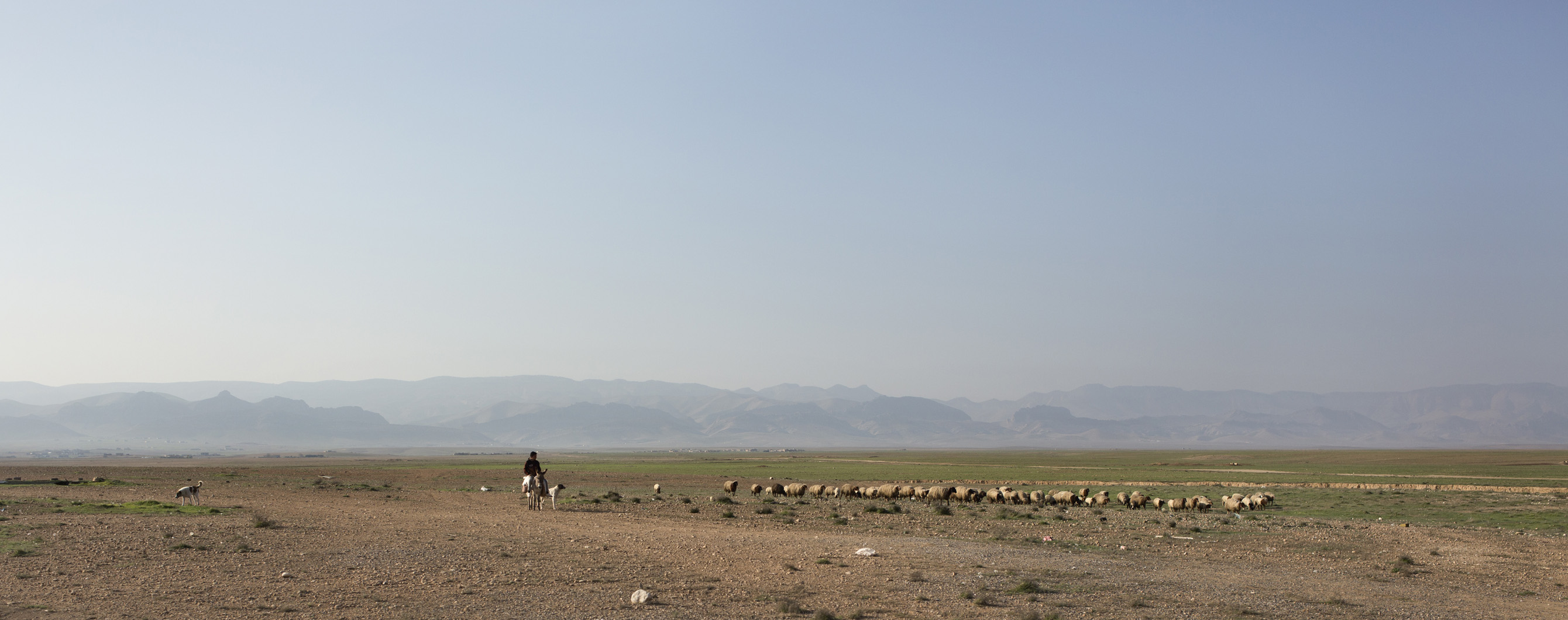 SINJAR, KURDISTAN, IRAQ- FEBRUARY, 2016: Les Yezidis sont des agriculteurs et des fermiers.(picture by Veronique de Viguerie/ Reportage by Getty Images )