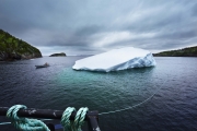 SWEET BAY, NEWFOUNDLAND-JUNE, 2014: The new iceberg found by Ed Kean is attached to the barge. (Picture by Veronique de Viguerie/Reportage by Getty Images)
